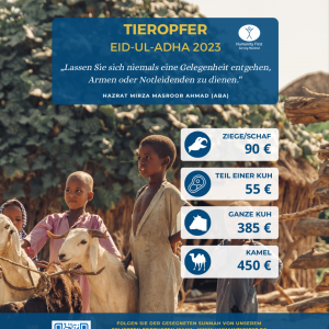 Tieropfer zu Eid-ul-Adha Tieropfer zu Eid-ul-Adha